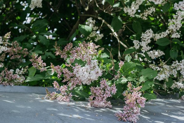 Découvrir les Garanties des Maisons Neuves : Tout Ce que Vous Devez Savoir !