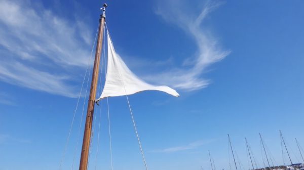 Top choix de mâts réglables pour voiles d'ombrage